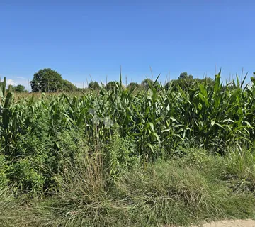 ČEKAM VAS SA NESTRPLJENJEM! - cover