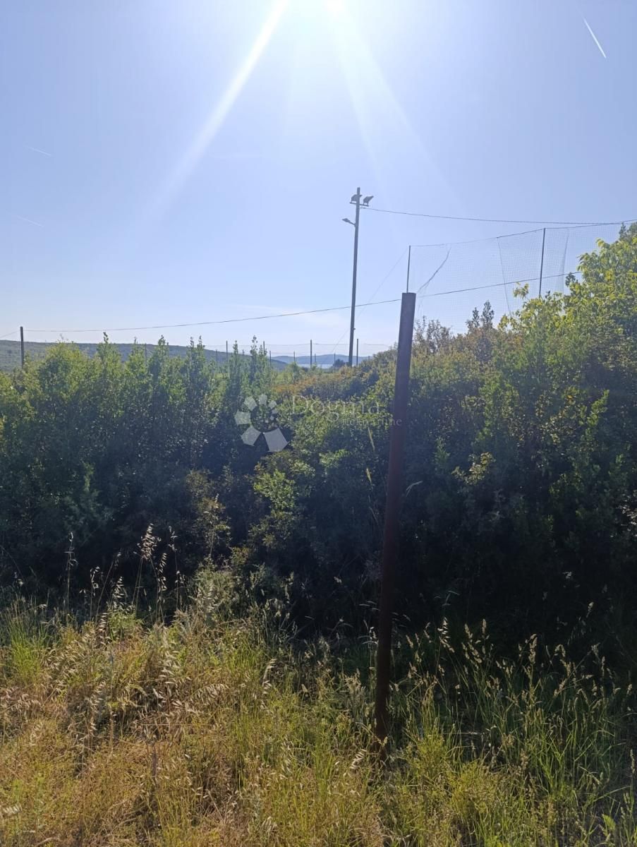 Fotografija