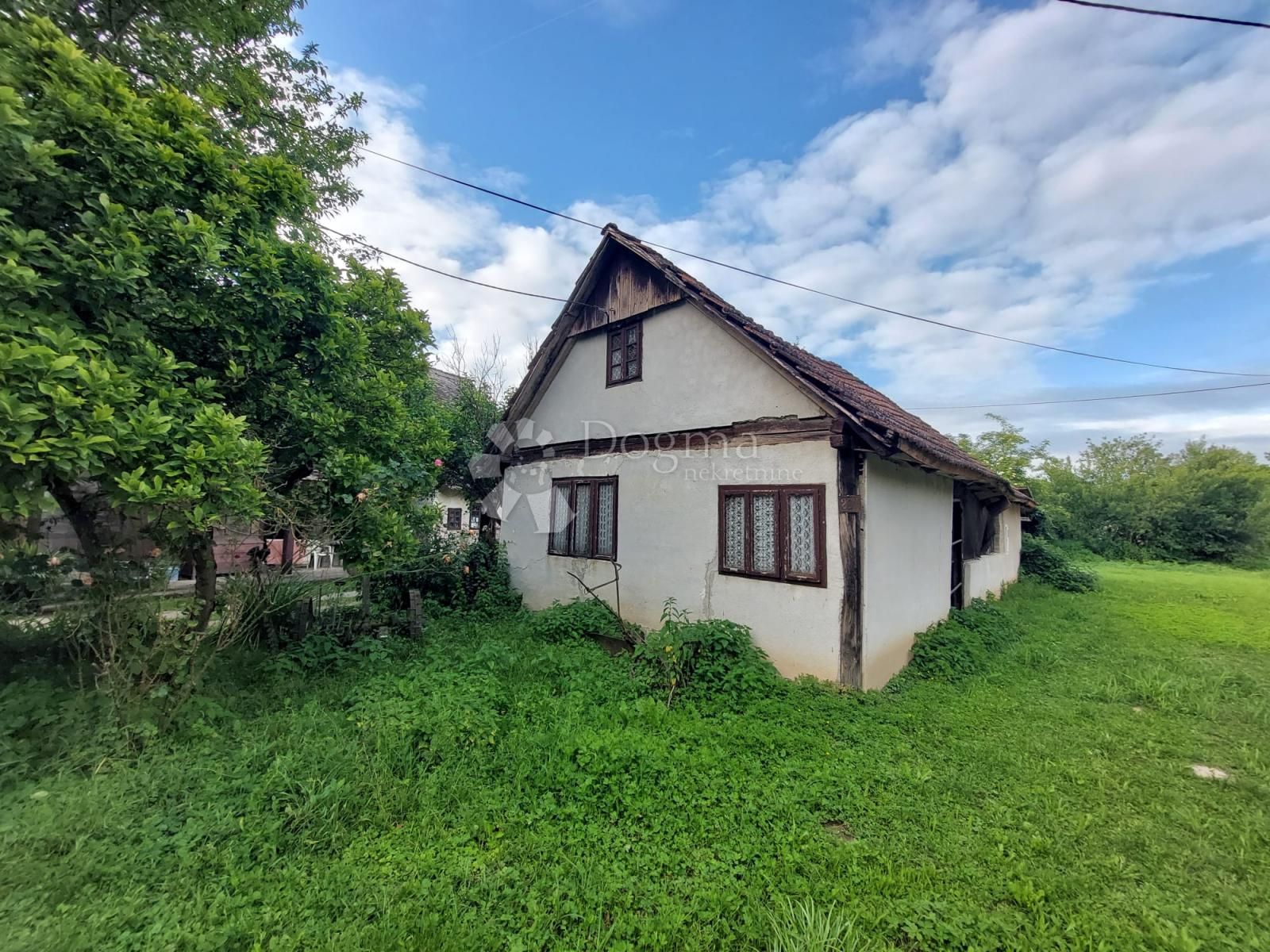 Fotografija