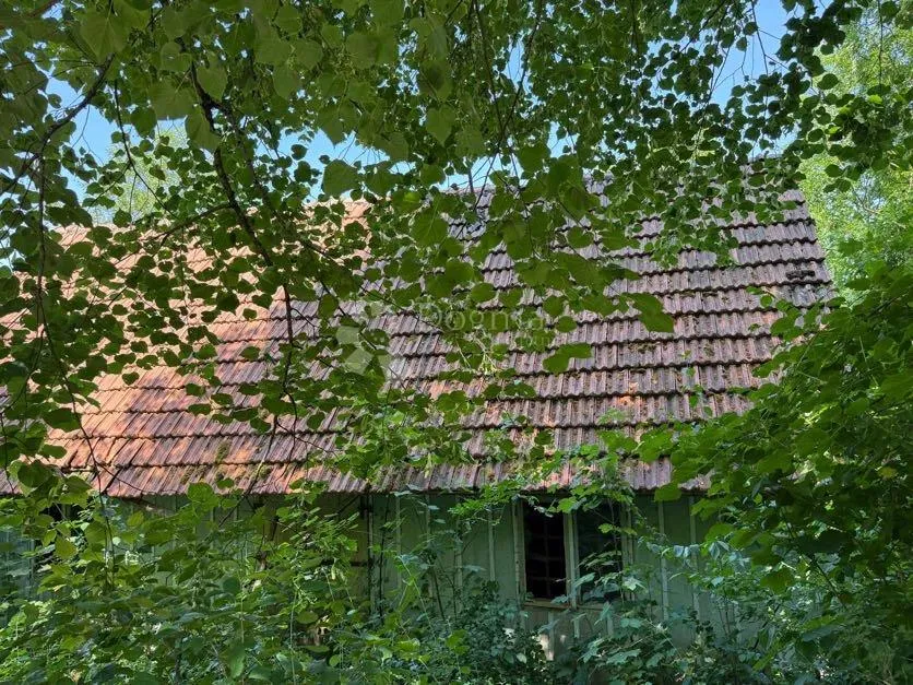 Fotografija