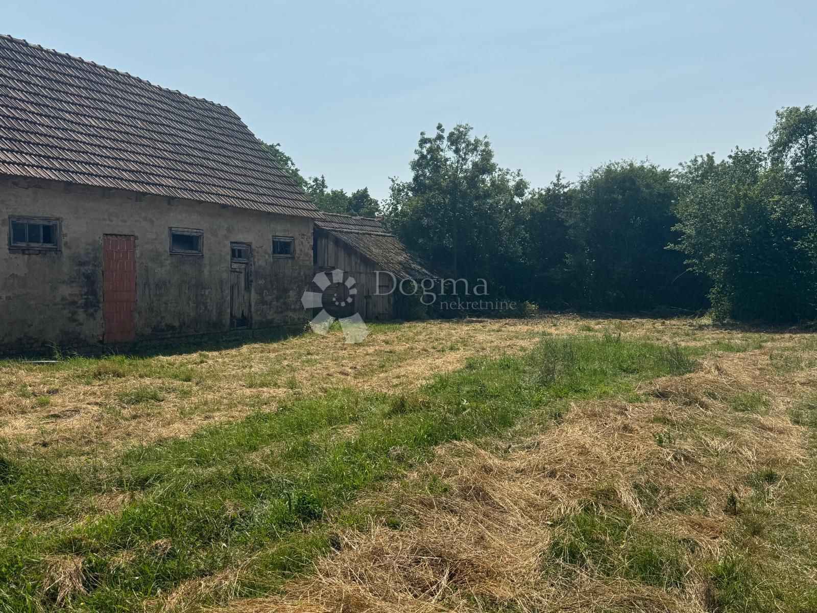 Fotografija