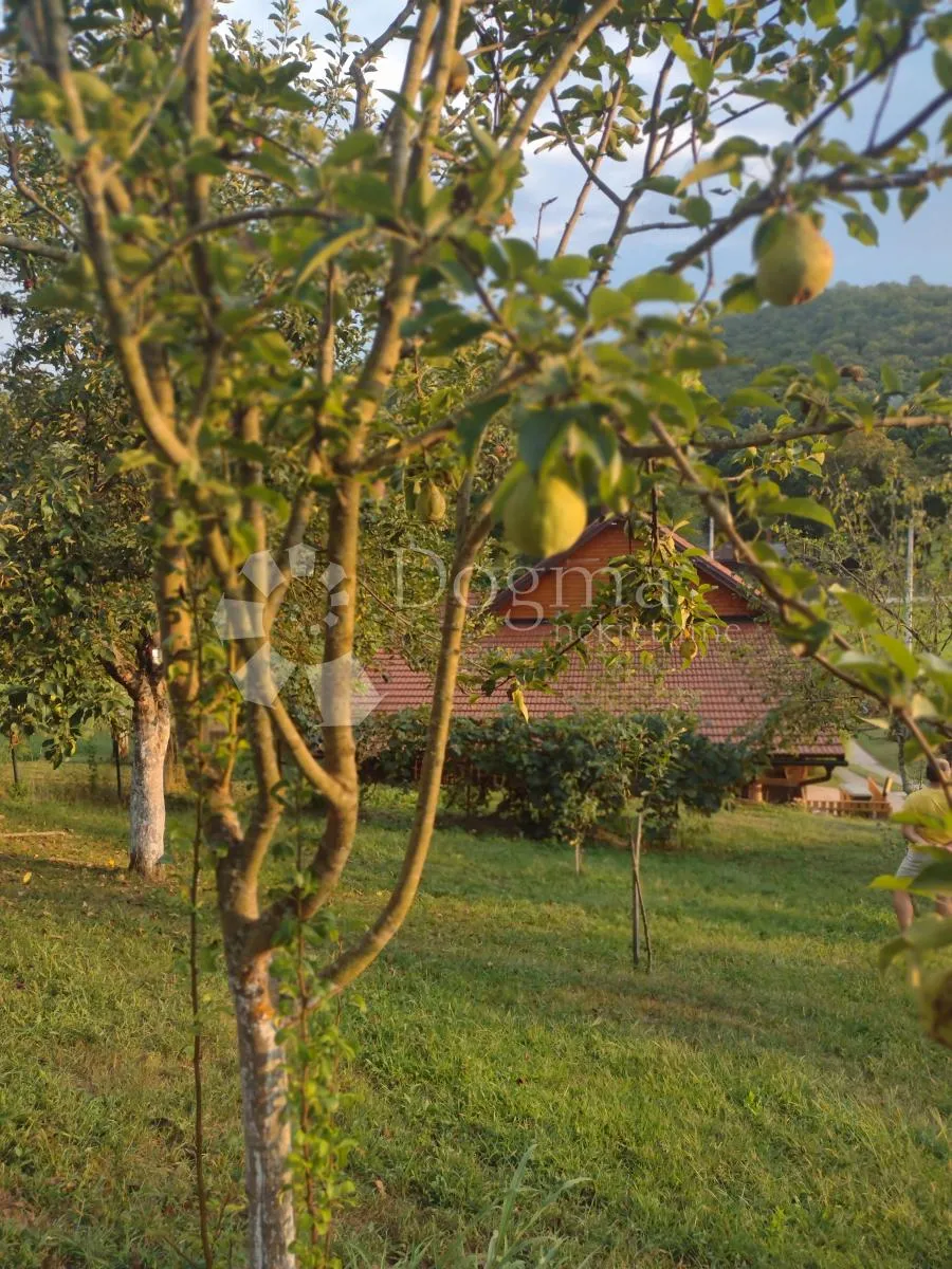 Fotografija