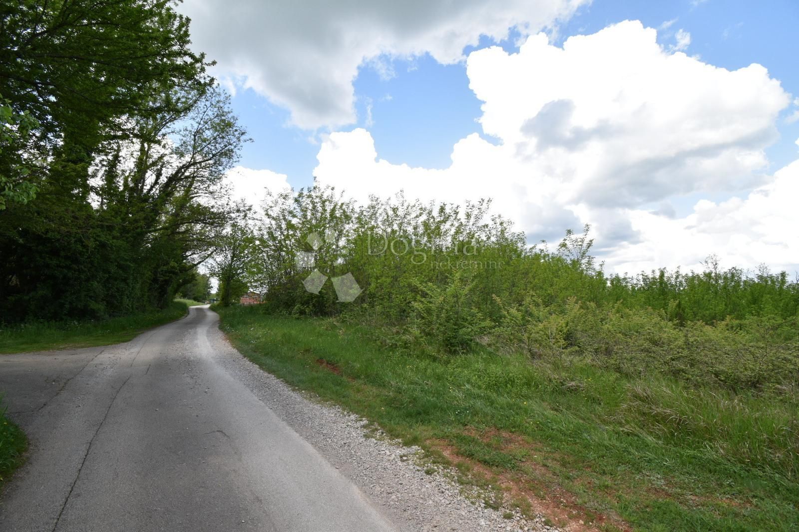 Fotografija