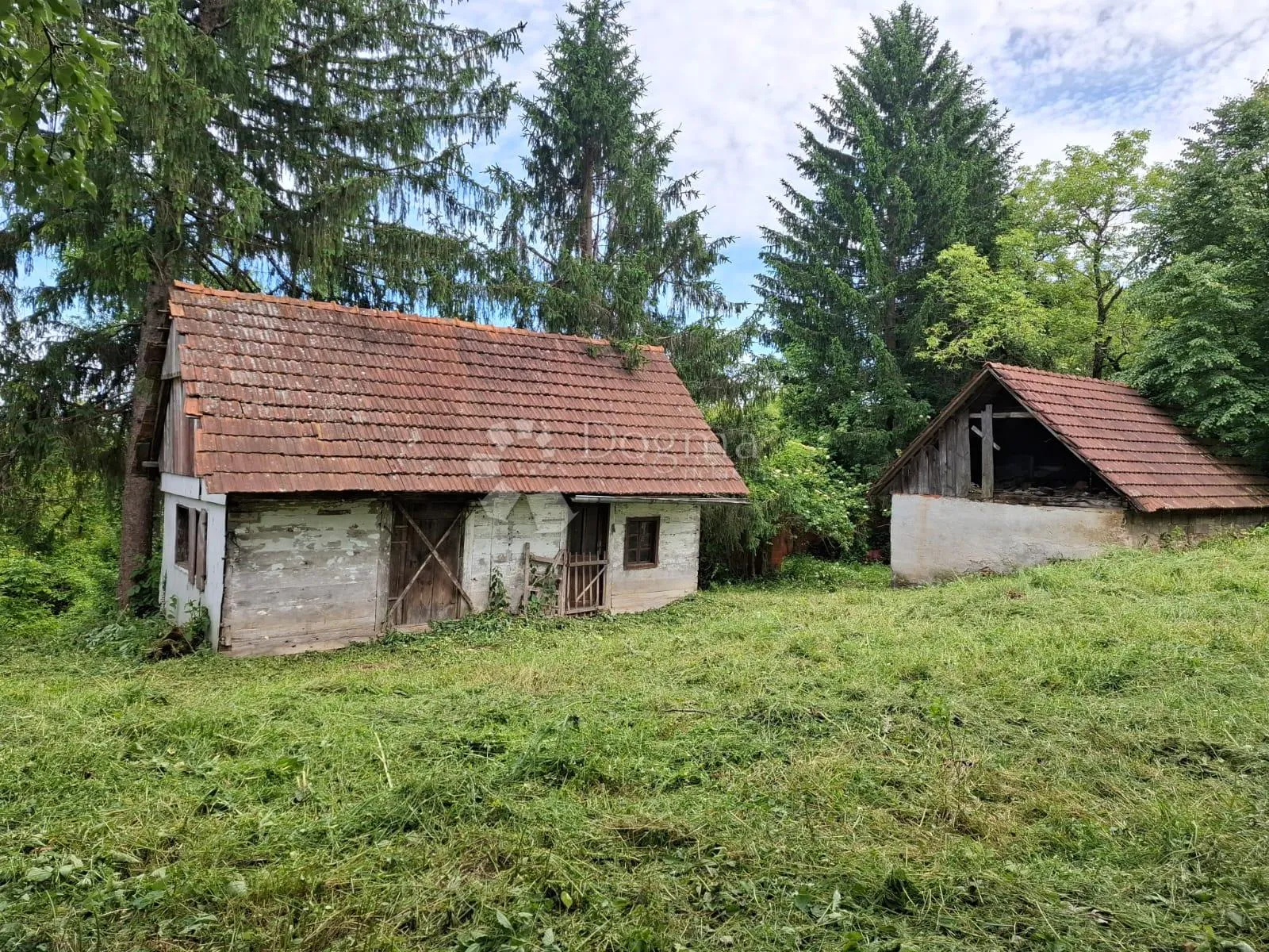 Fotografija