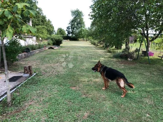 Fotografija
