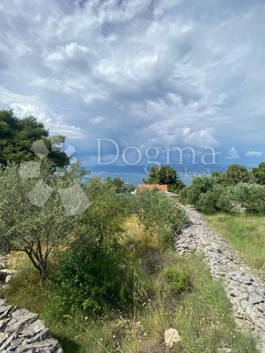 Fotografija