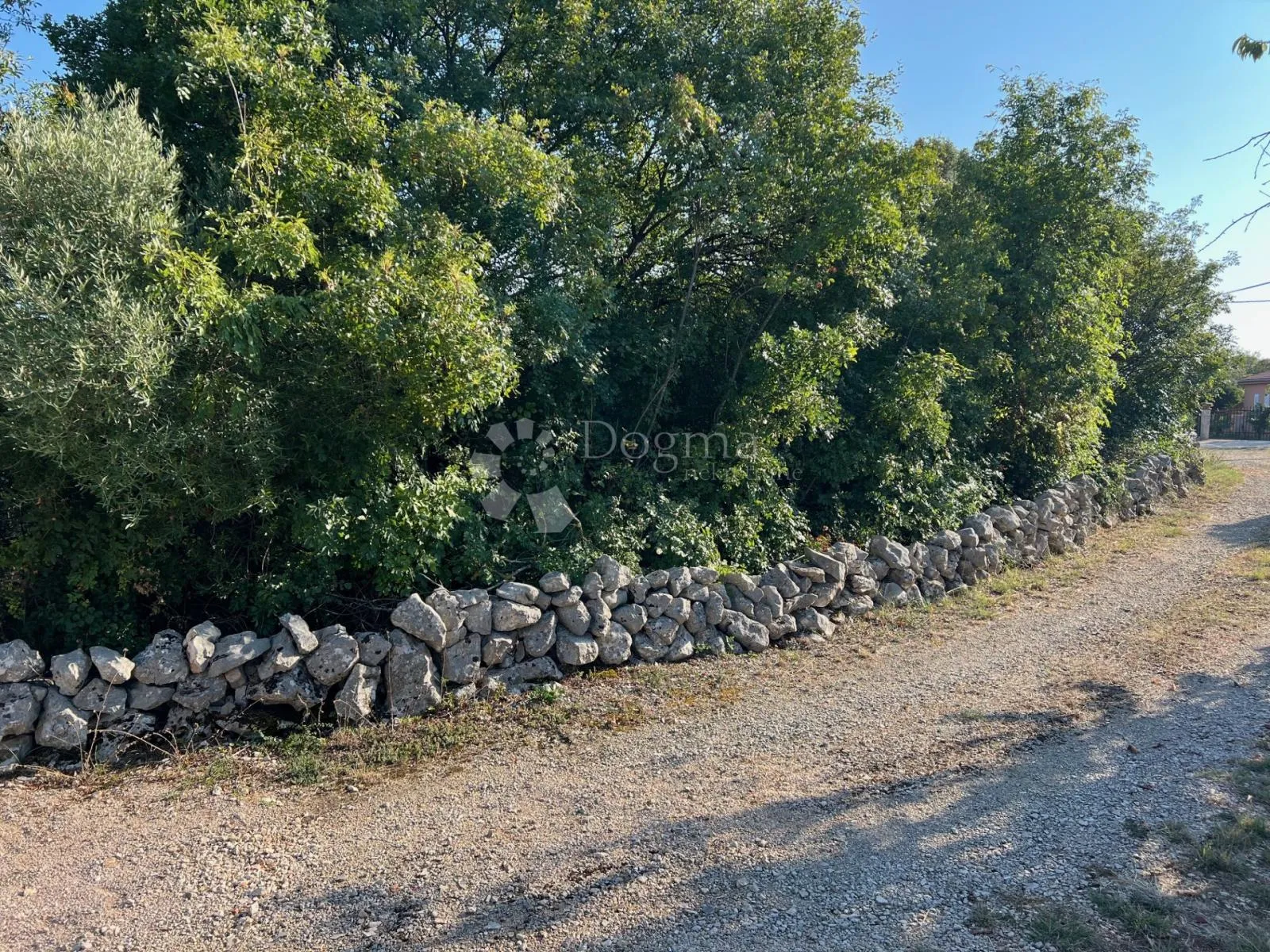 Fotografija