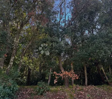 Izgradite pogled. Ne samo kuću. - cover