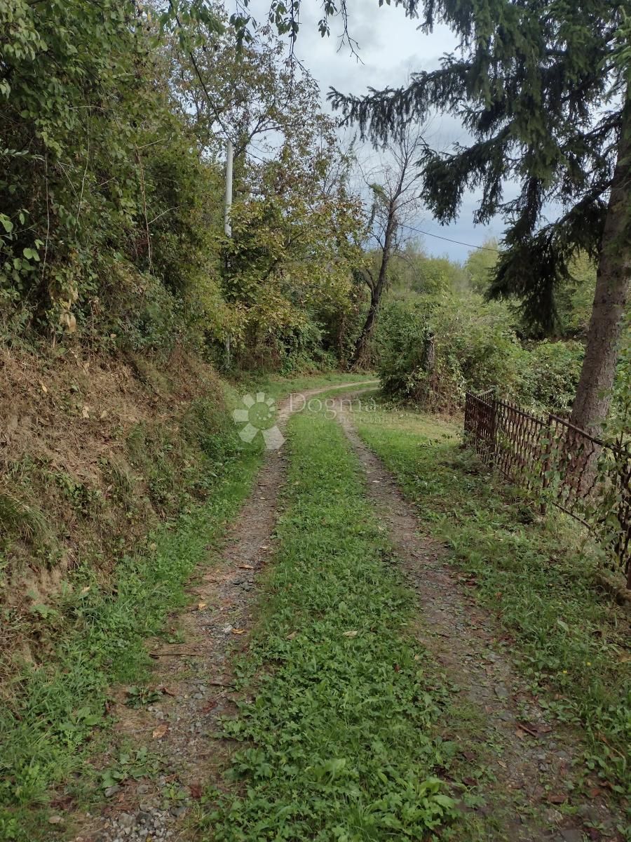 Fotografija