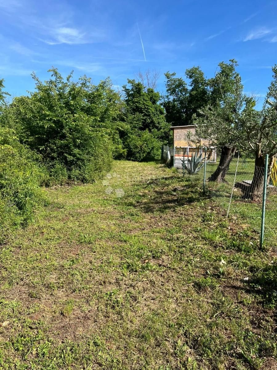 Fotografija