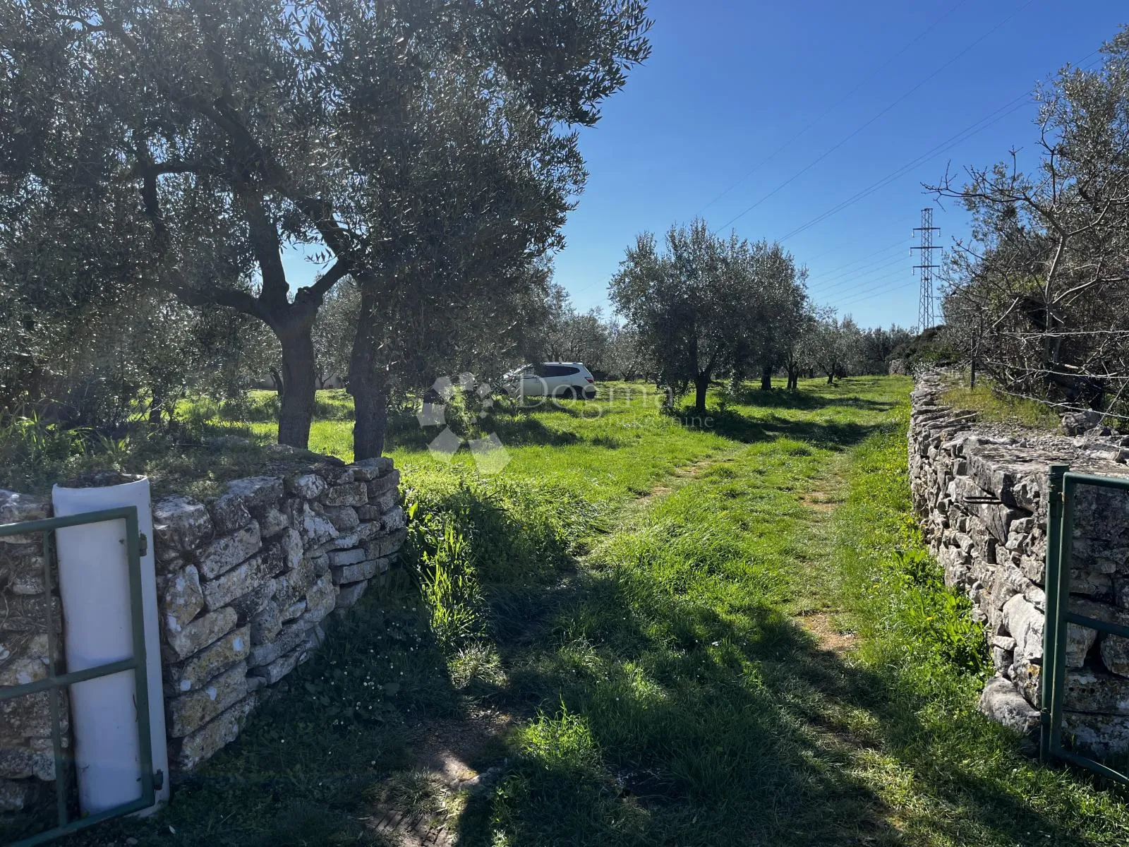 Fotografija