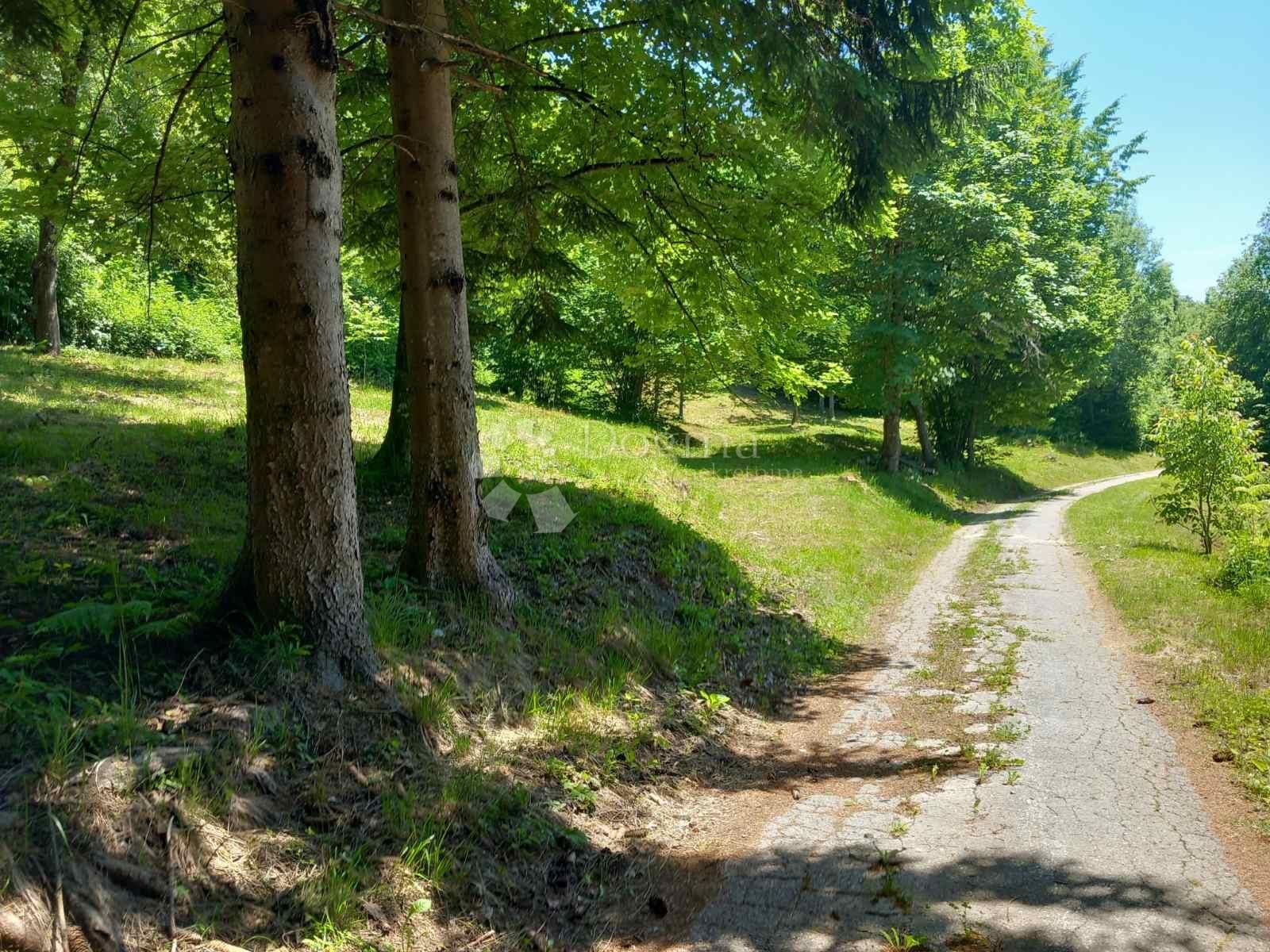 Fotografija