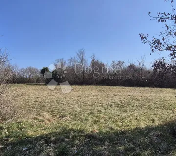 Idealno zemljište za poljoprivredne kulture 5367 m2 - cover