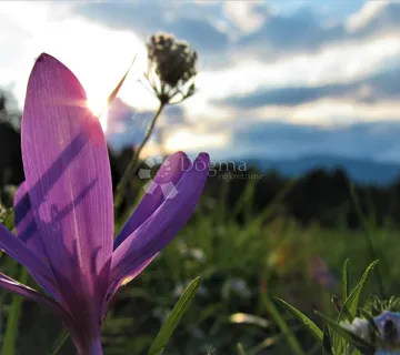 Poljoprivredno zemljište s potencijalom - cover