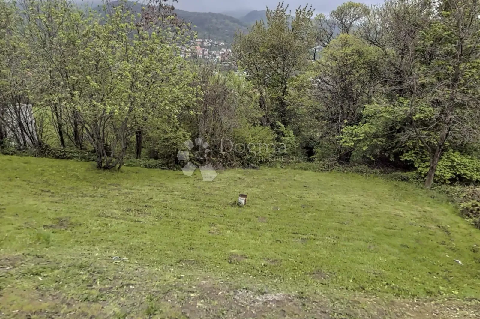 Fotografija
