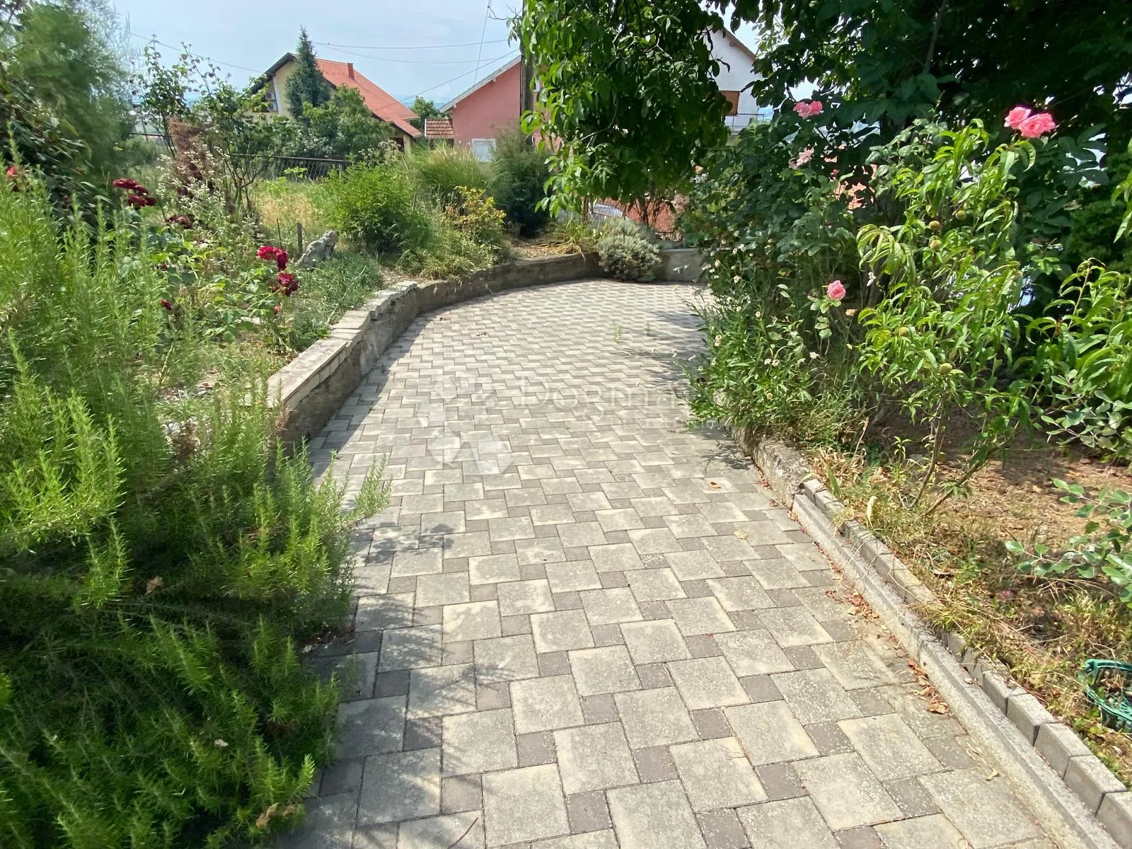 Fotografija