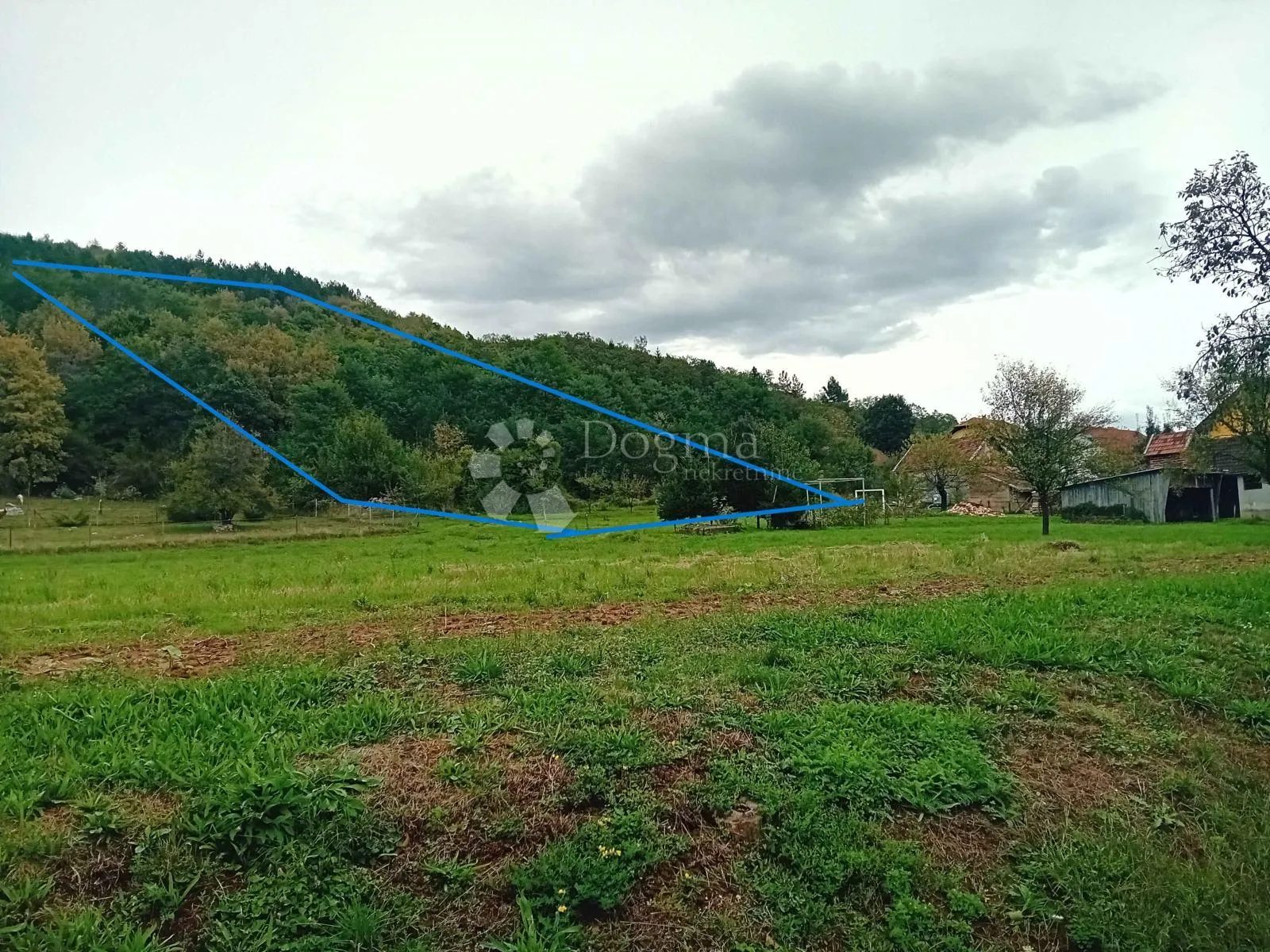 Fotografija