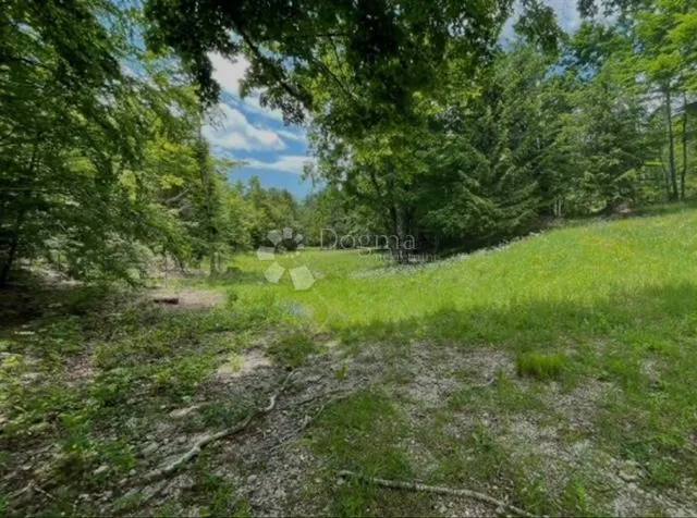 Građevinsko zemljište u Bribirskoj šumi - cover