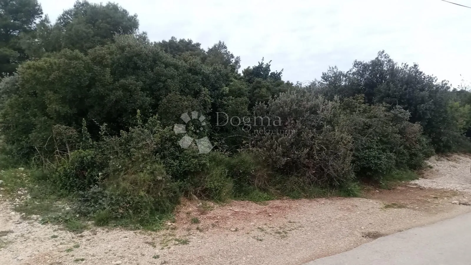 Fotografija