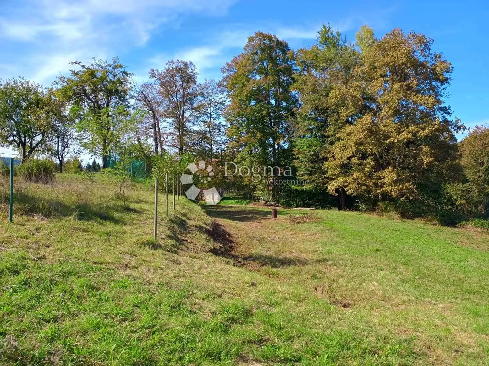Fotografija