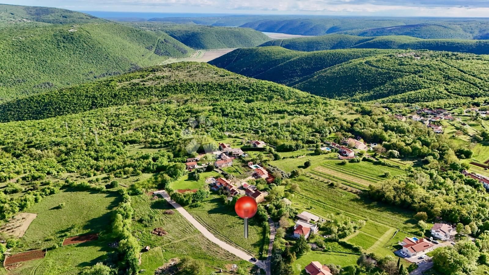 Fotografija