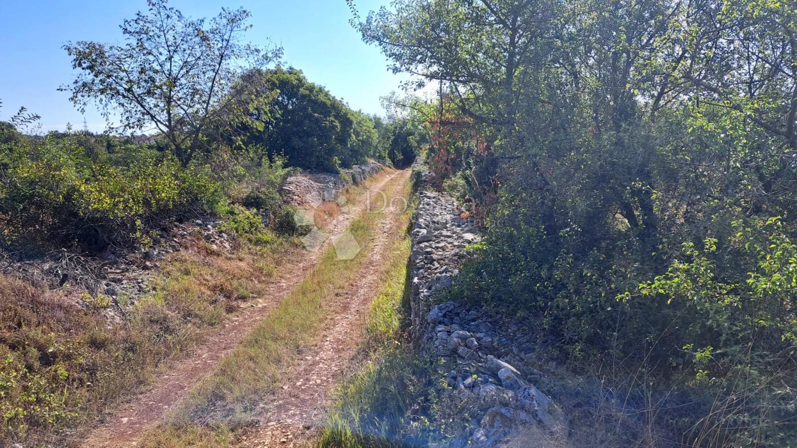 Fotografija