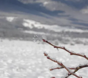 Poljoprivredno zemljište - cover
