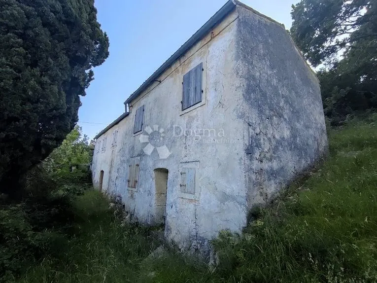Fotografija