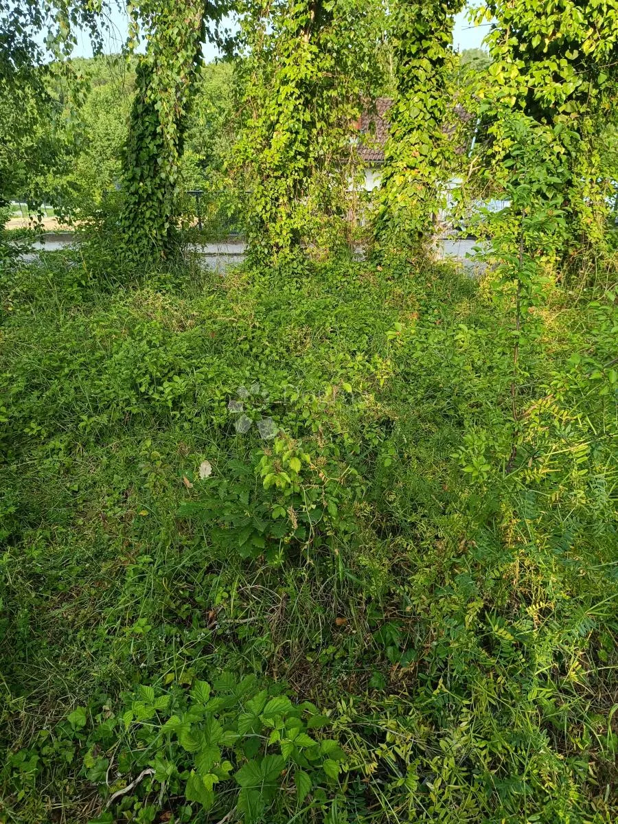 Fotografija
