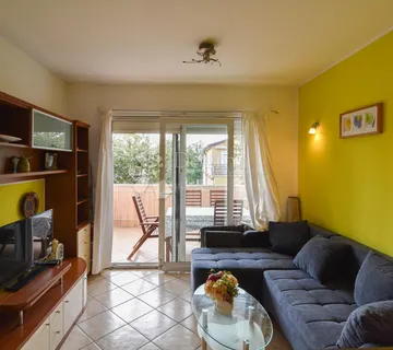 NOVIGRAD OKOLICA - PREKRASAN 1SOBAN STAN 200 METARA DO MORA - cover