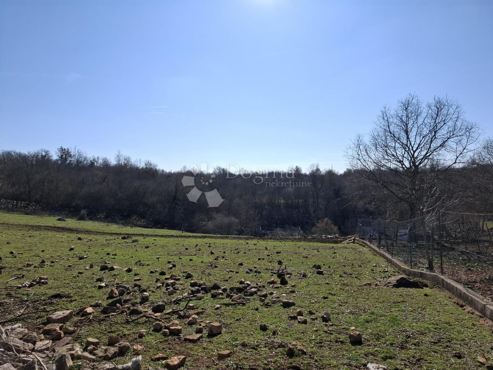 Fotografija