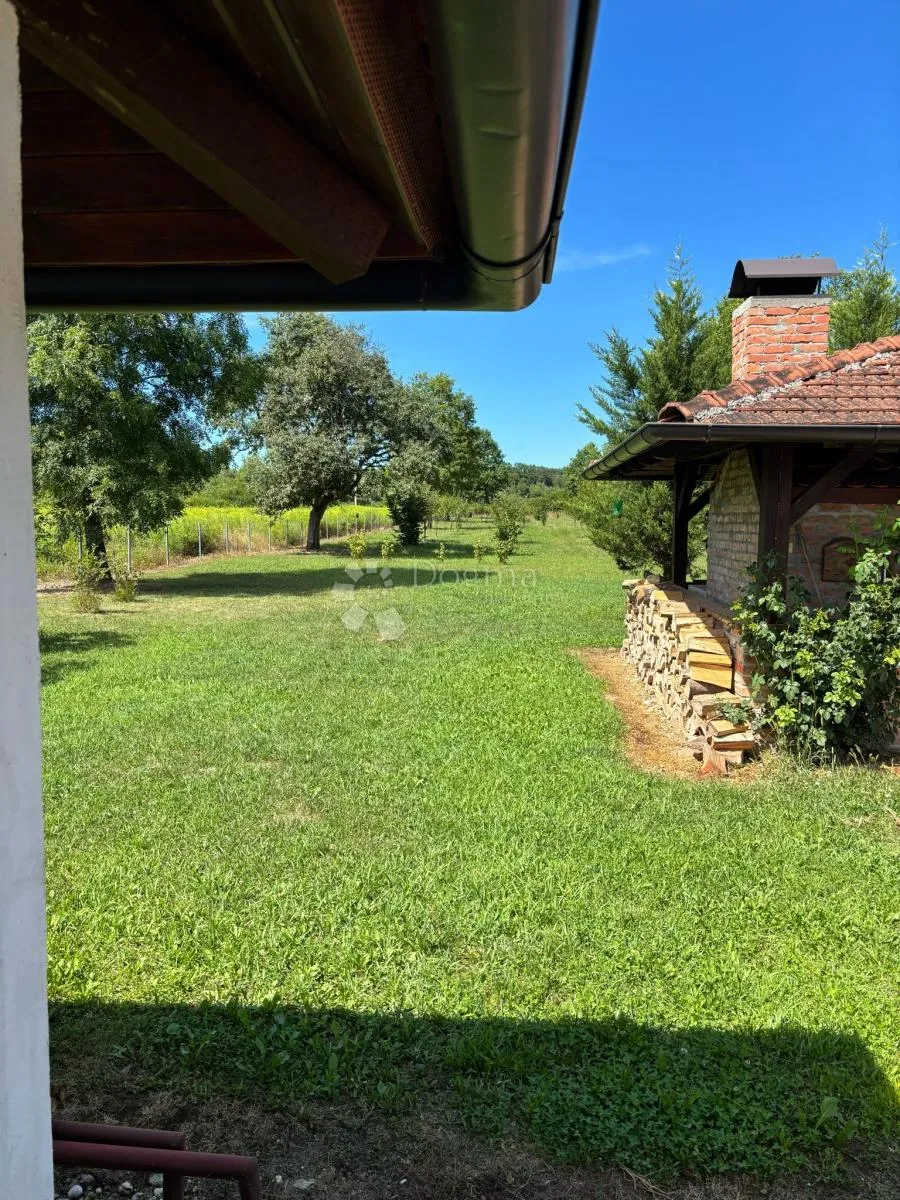 Fotografija