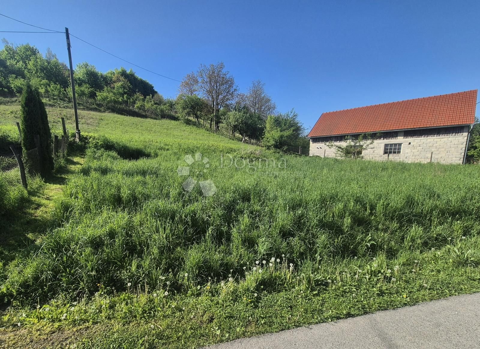 Fotografija