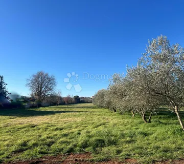 ŠTINJAN GRAĐEVINSKO ZEMLJIŠTE, Pula, 2.300 m2 - cover