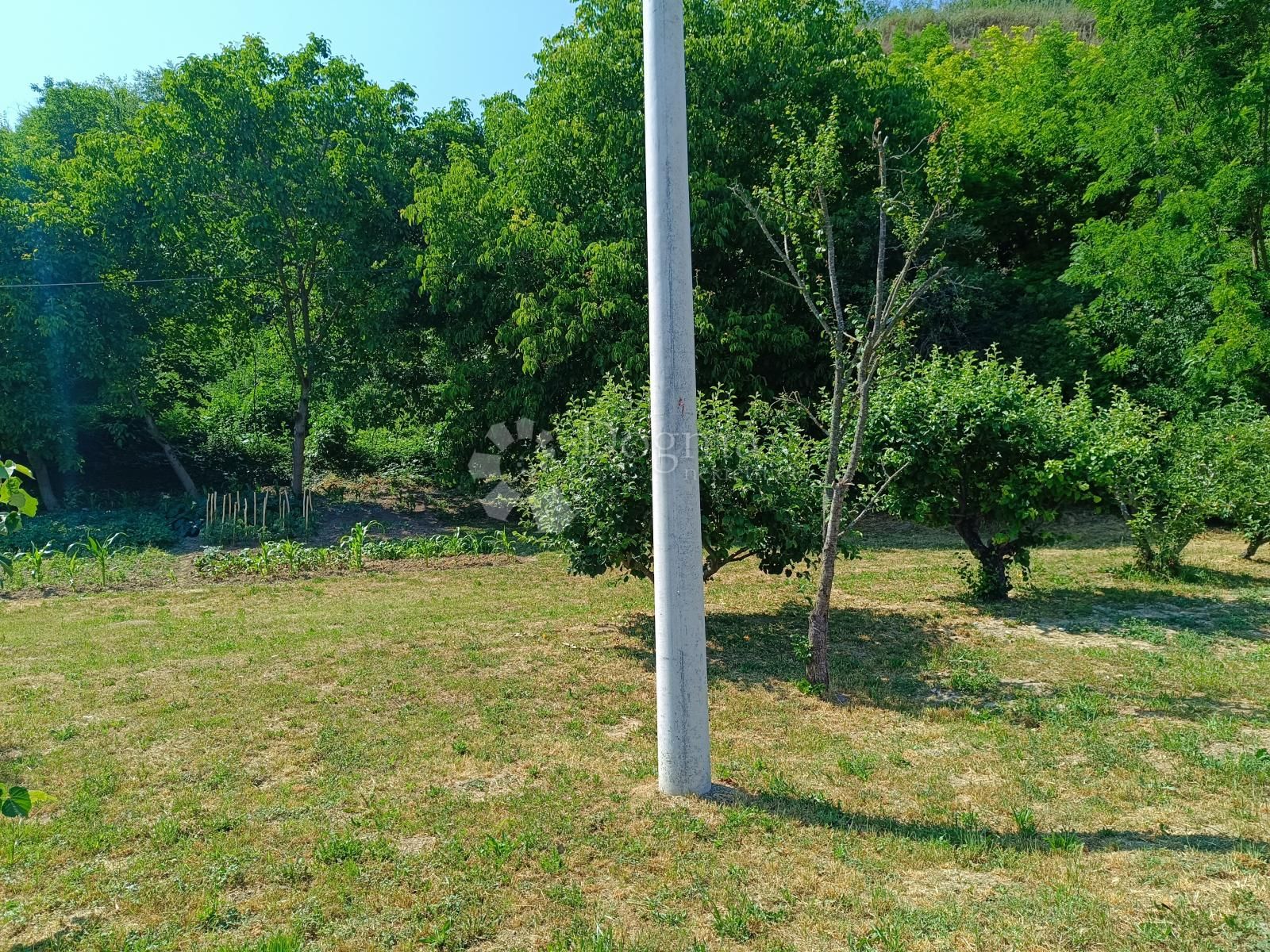 Fotografija