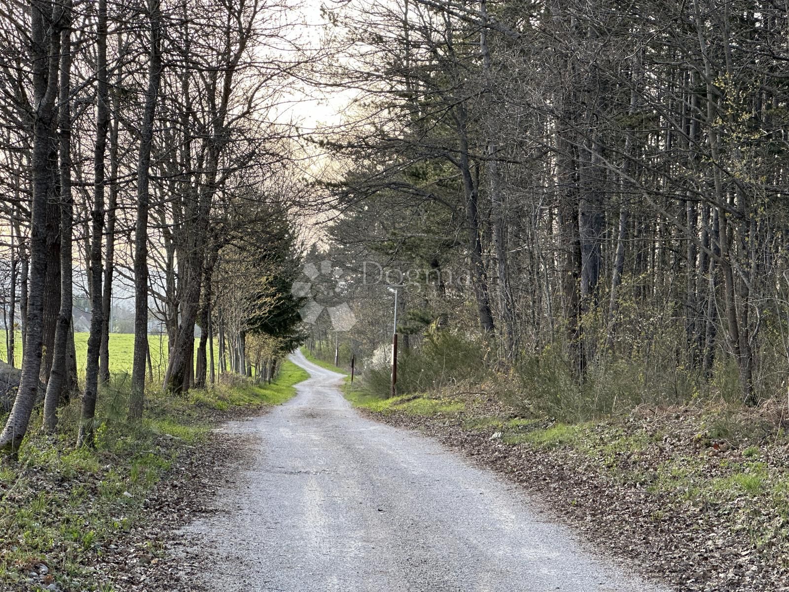 Fotografija