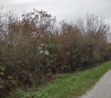 Šuma uz 2 potoka - cover