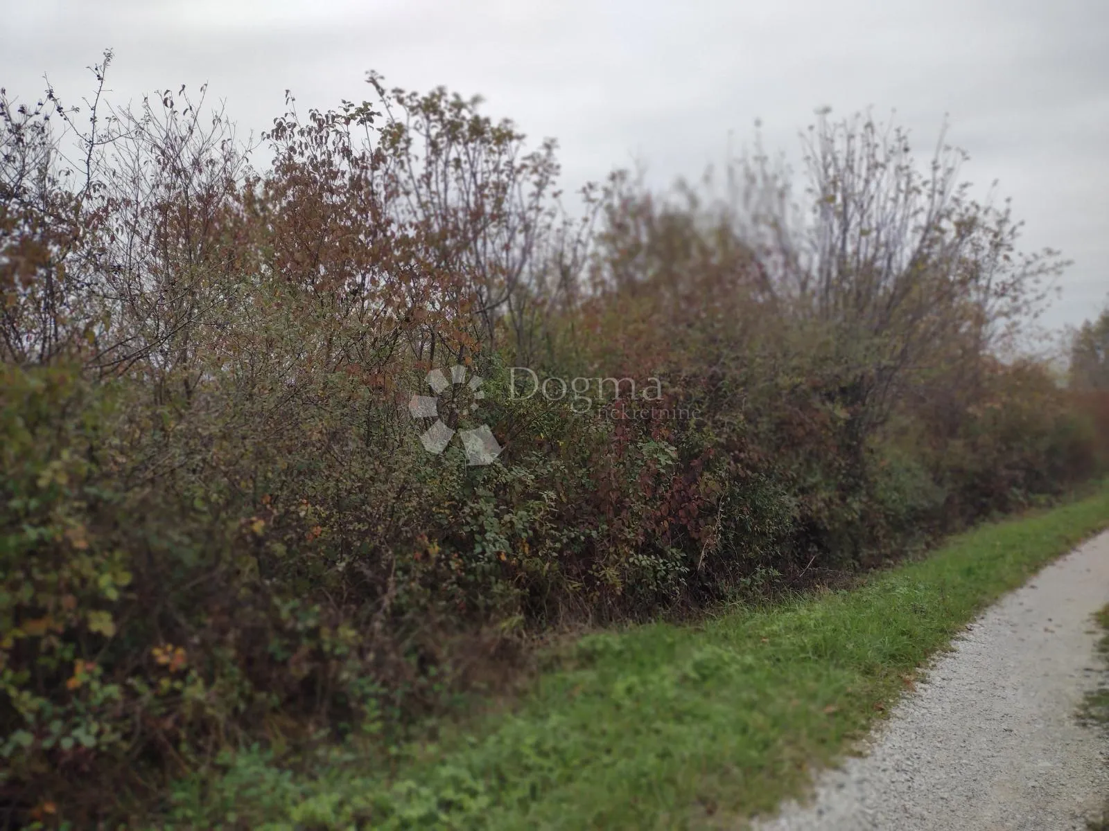 Fotografija