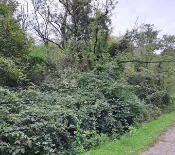 Zemljište  Pješčanica - cover