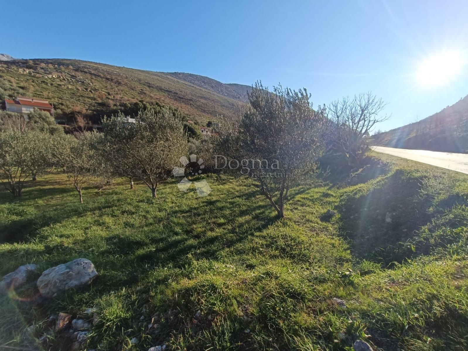 Fotografija
