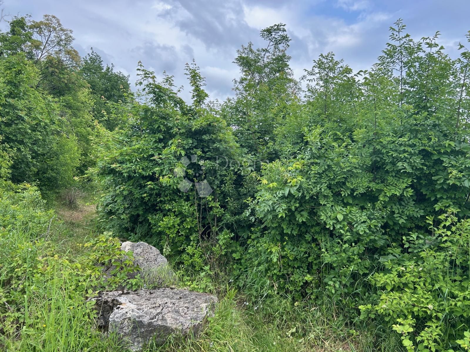 Fotografija