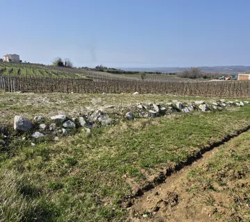 VIŽINADA, 1583m2 - EKSKLUZIVA - cover