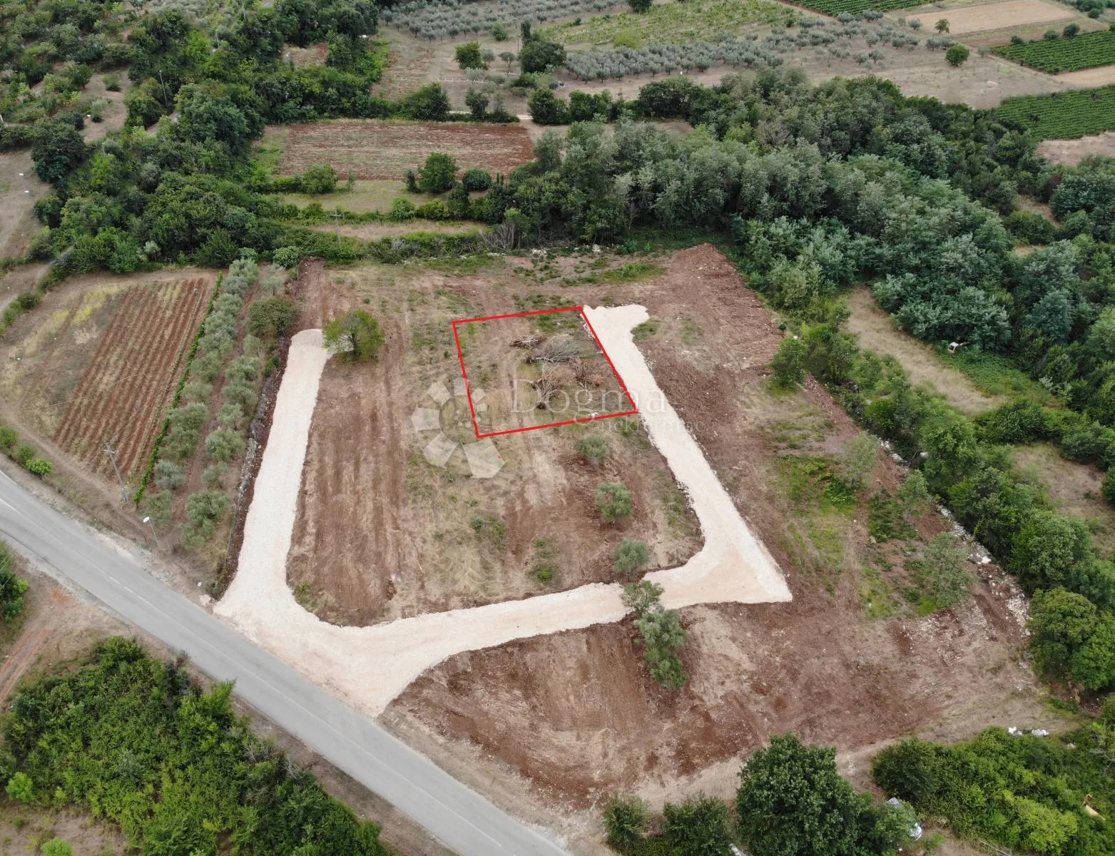 Fotografija