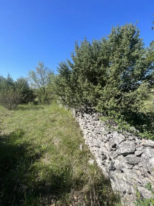 Fotografija