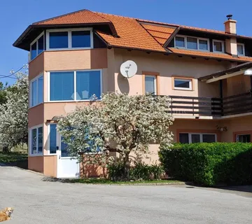 OBITELJSKA KUĆA S POSLOVNIM PROSTOROM I OČARAVAJUĆOM OKUĆNICOM - cover