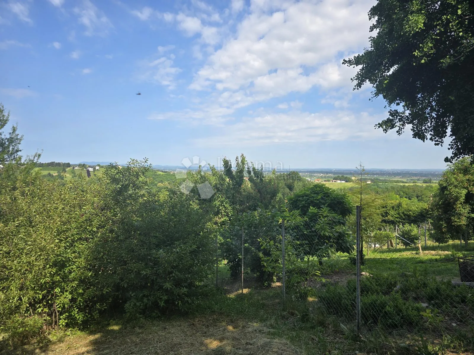 Fotografija