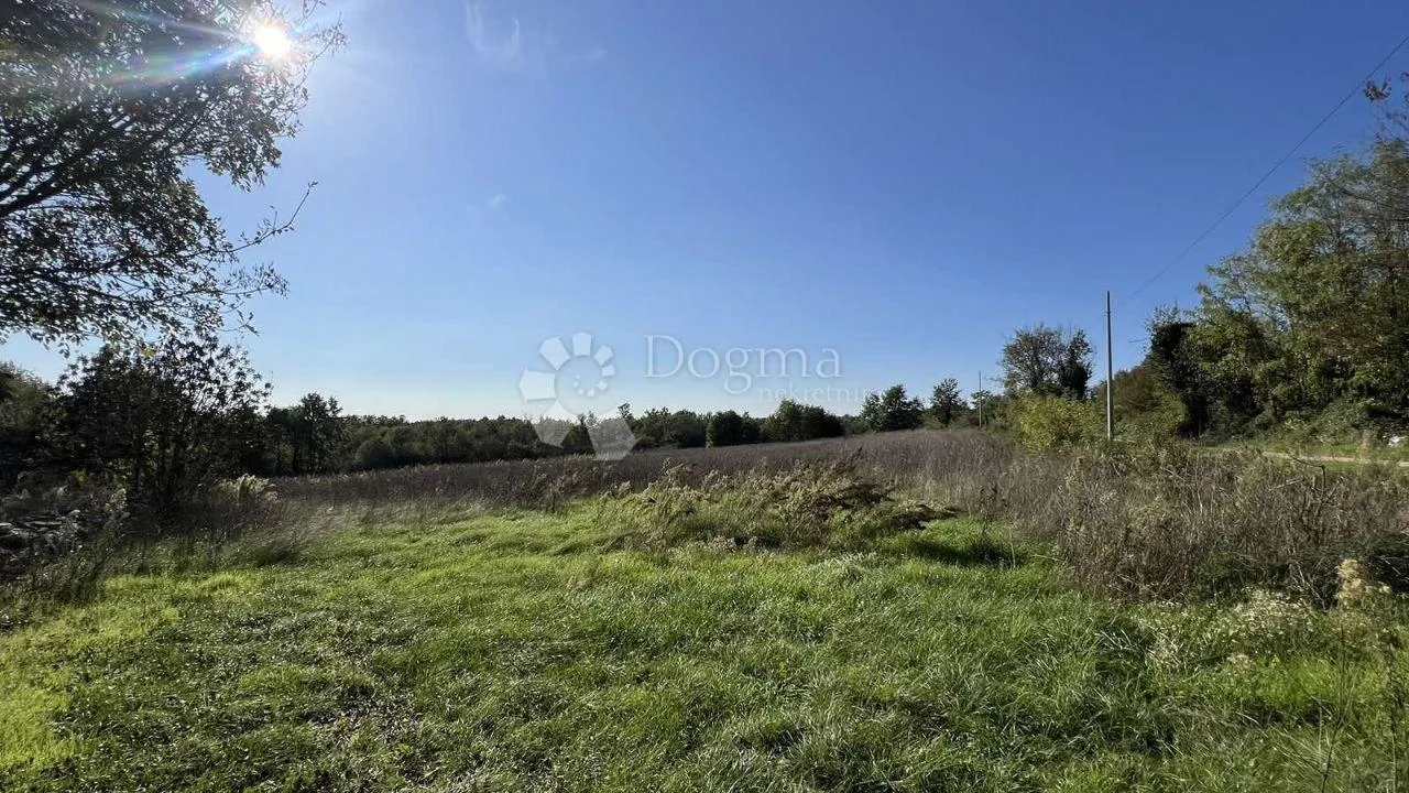 Fotografija