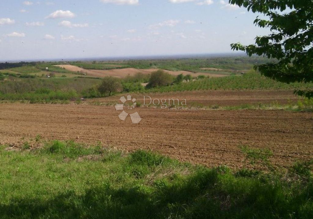 Fotografija