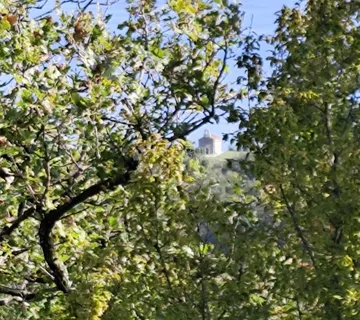 BRSEČ NA DLANU - cover