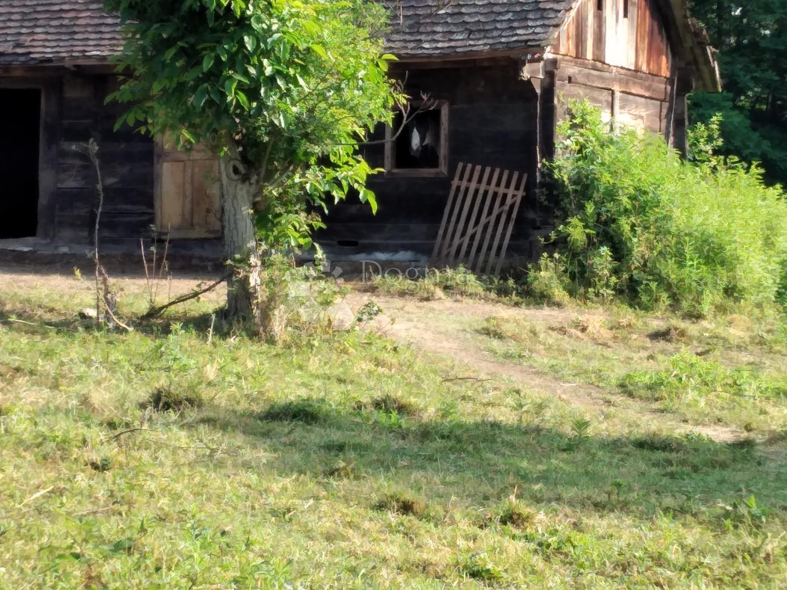 Fotografija